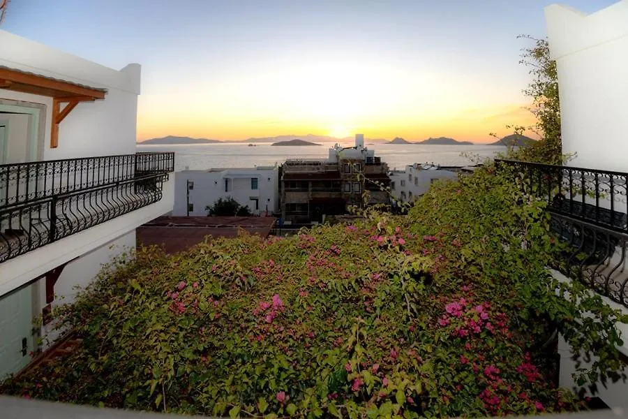 West Coast Boutique Hotel-1
